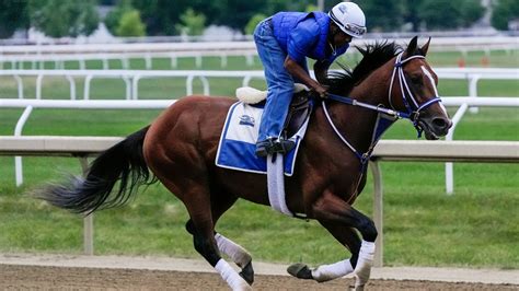 top 10 fastest belmont stakes times|The 10 Fastest Horses to Ever Win the Belmont Stakes.